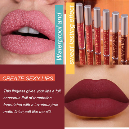 6PCS/Set Velvet Matte Lipstick Long Lasting Lipgloss Waterproof Moisturizer Lip Glosses Makeup Cosmetics Beauty Labiales