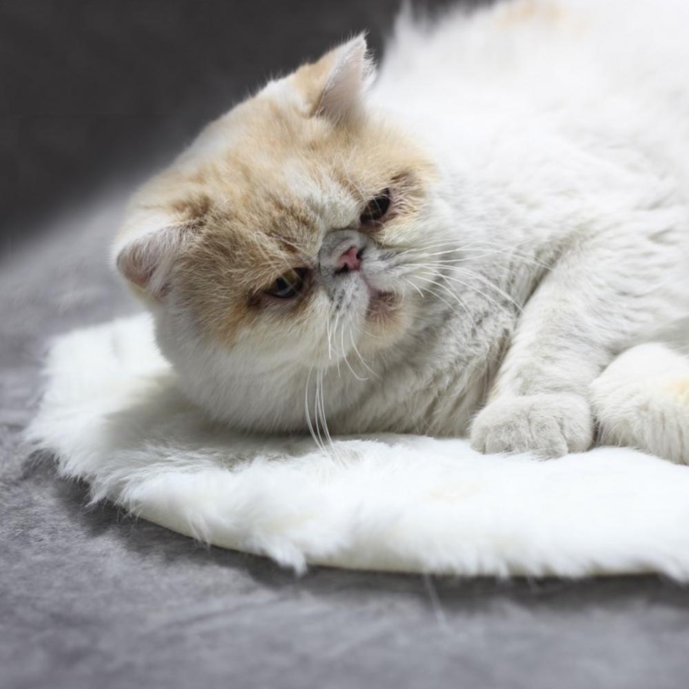 Dog Electric Blanket Warm Dog Bed Mat Indoor Pet Good Thermal Insulation Effect Heating Pads for Cats Dogs with USB Electric Pad