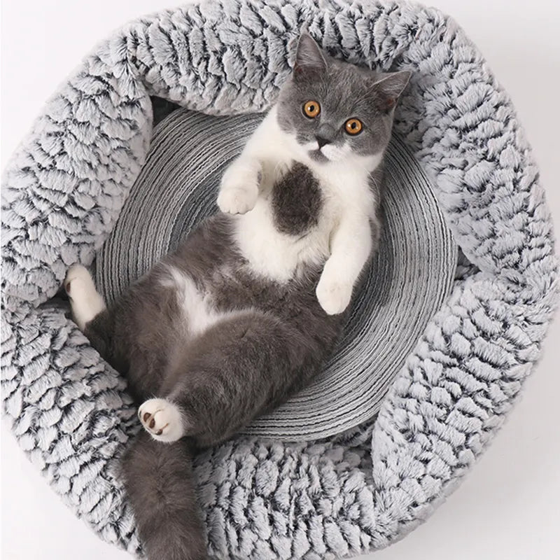 Cat Scratching Pad Cat Scratcher Kitten Scraper Toys Pet Scratch Mats Cat Scratching Board Pad Furniture Protector Pet Supplies